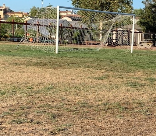 Field Upgrades